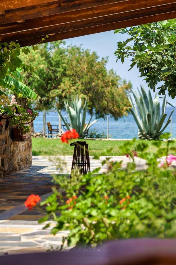 Malsova Maisonette Kotronion  Dış mekan fotoğraf